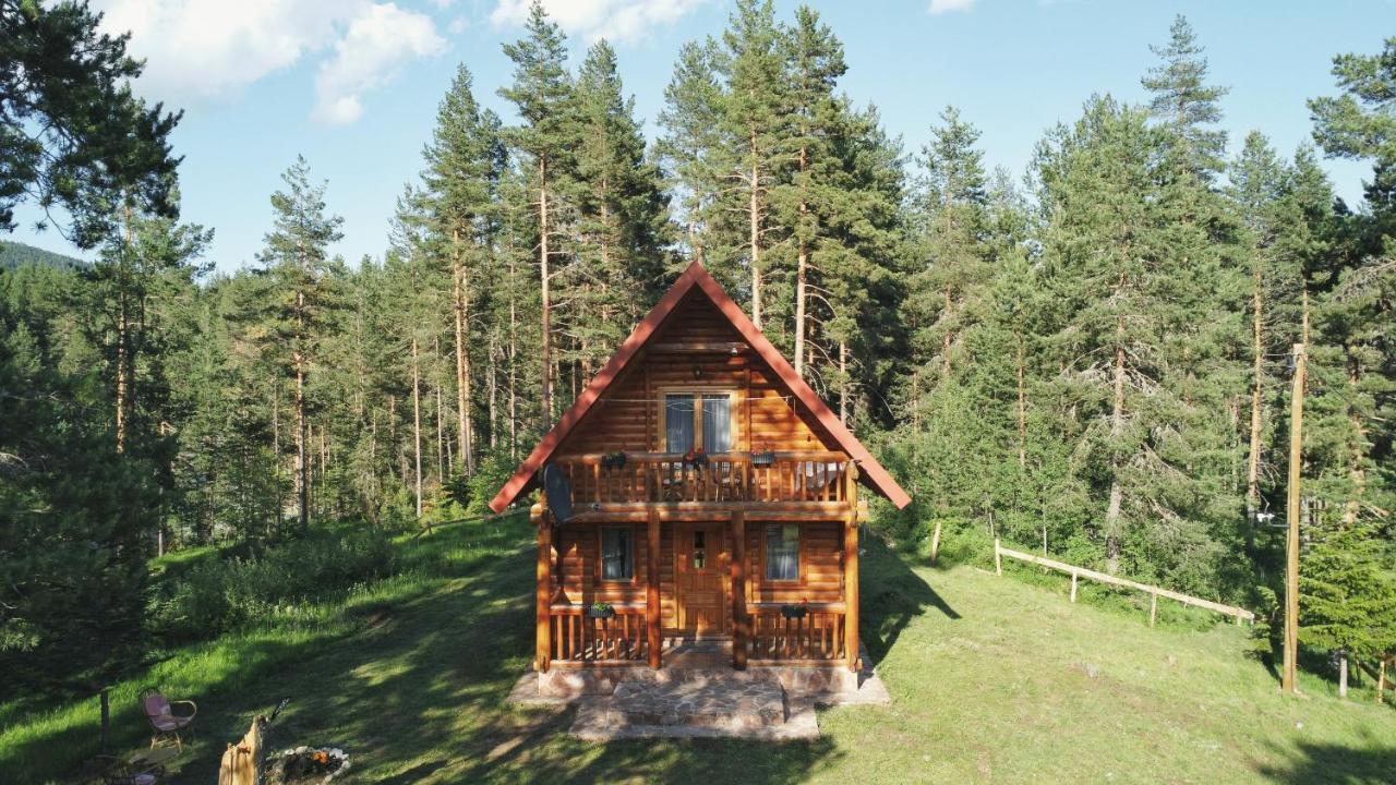 Holiday Home Aster Žabljak Zewnętrze zdjęcie