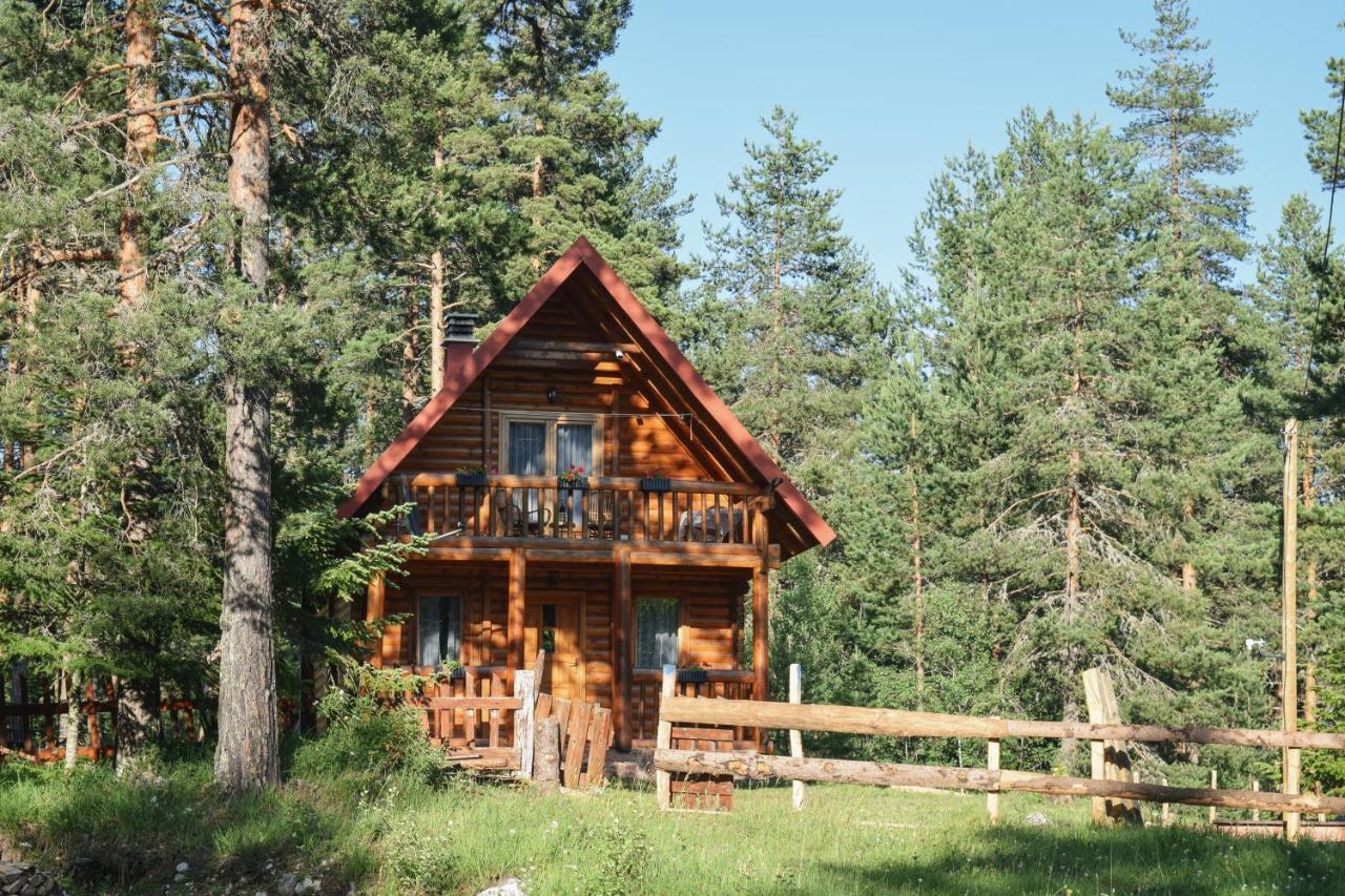 Holiday Home Aster Žabljak Zewnętrze zdjęcie