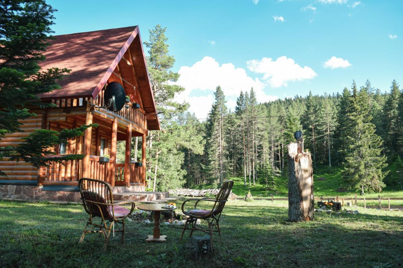 Holiday Home Aster Žabljak Zewnętrze zdjęcie