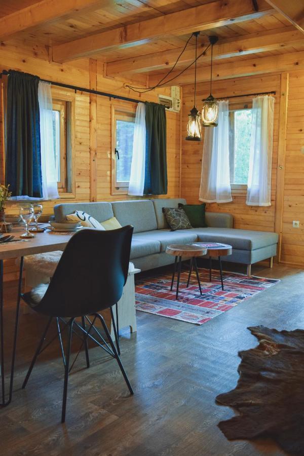 Holiday Home Aster Žabljak Zewnętrze zdjęcie