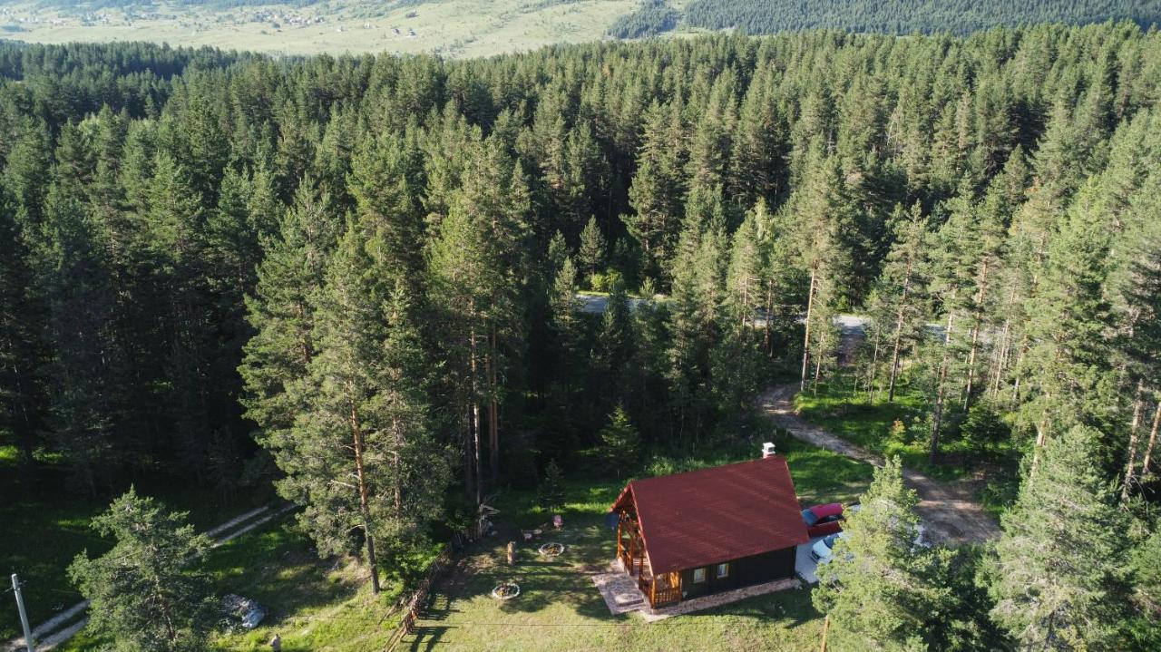 Holiday Home Aster Žabljak Zewnętrze zdjęcie