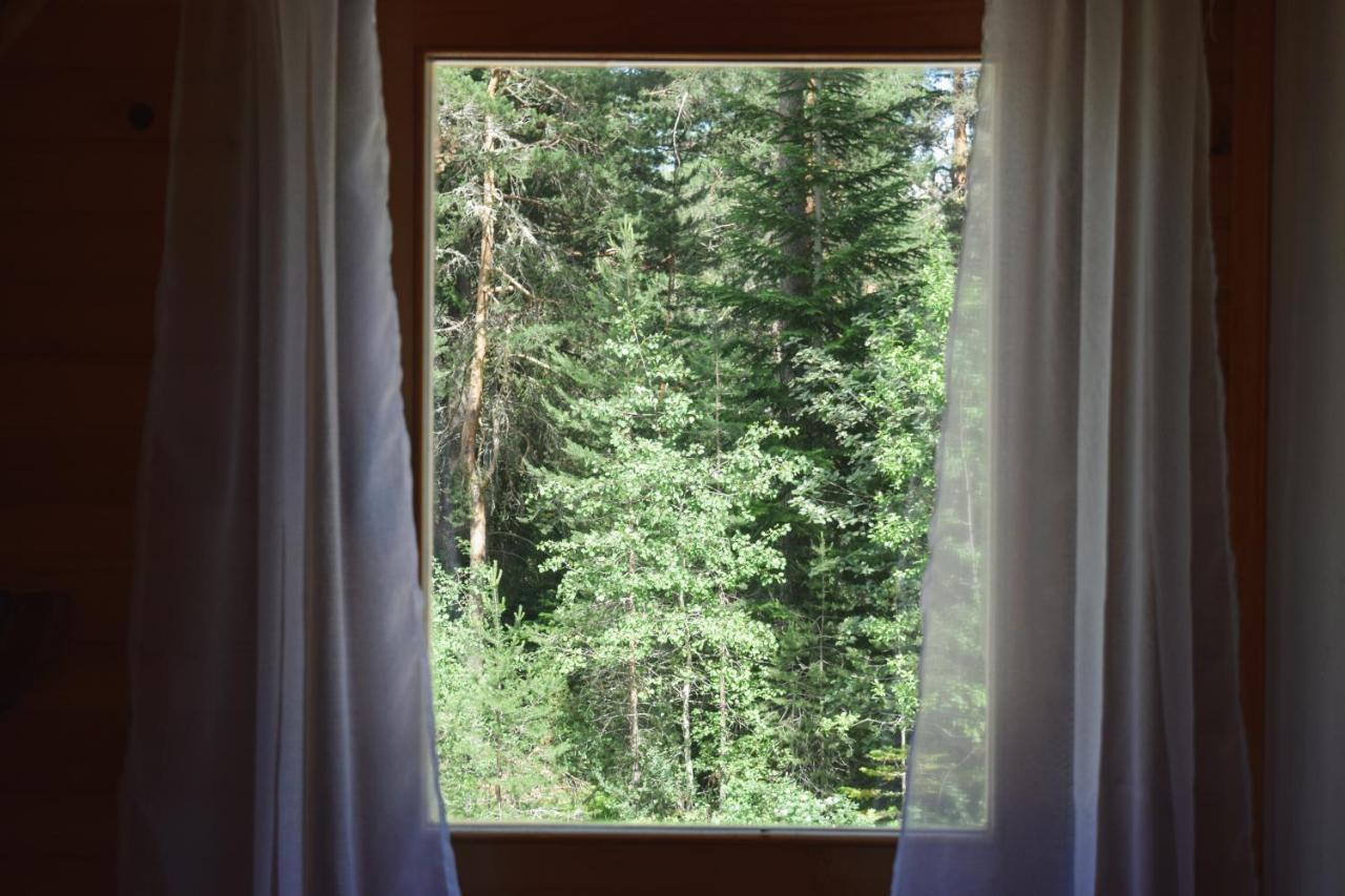 Holiday Home Aster Žabljak Zewnętrze zdjęcie